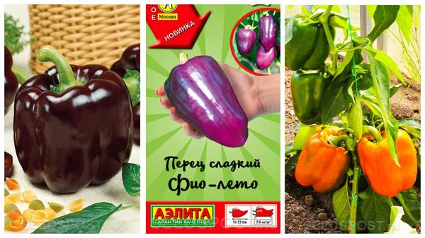 Эти перцы понравятся любителям ярких и необычных сортов. Фото с сайта seedspost.ru