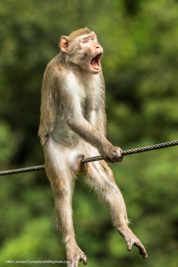 Ken Jensen, фото "Ouch!" Источник