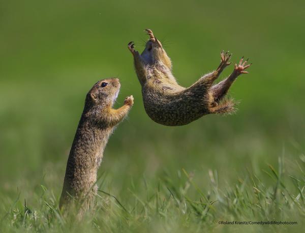 Roland Kranitz, фото "I got you". Источник