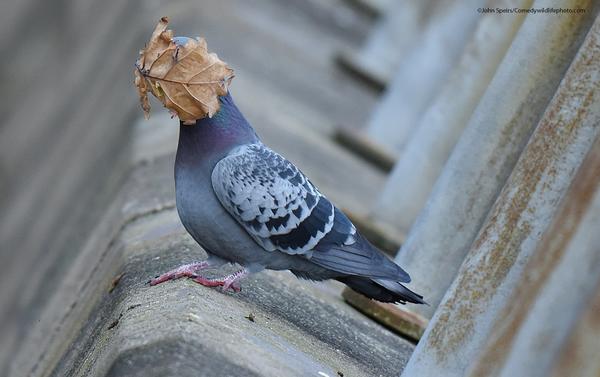 John Speirs, фото "I guess summer's over". Источник