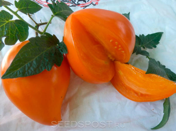 Томат 'Немецкая оранжевая клубника' ('German Orange Strawberry'), фото с сайта seedspost.ru