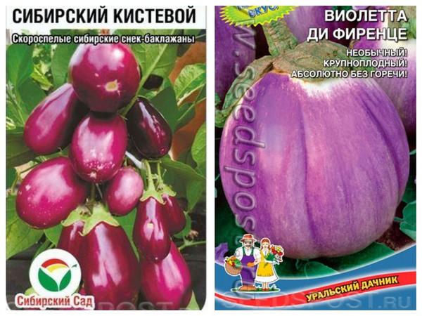 Баклажаны 'Сибирский кистевой' и 'Виолетта ди Фиренце', фото с сайта seedspost.ru