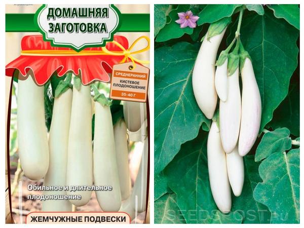 Совсем не синенькие: 12 популярных баклажанов необычной окраски