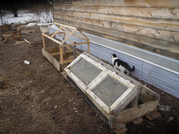 Парнички переехали