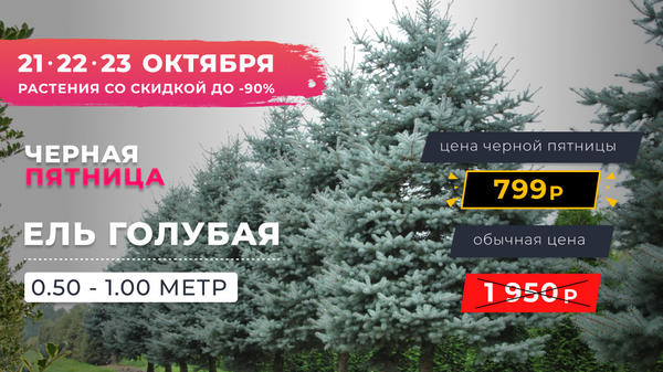 Черная Пятница в "Экоплант" - скидки до 90%!