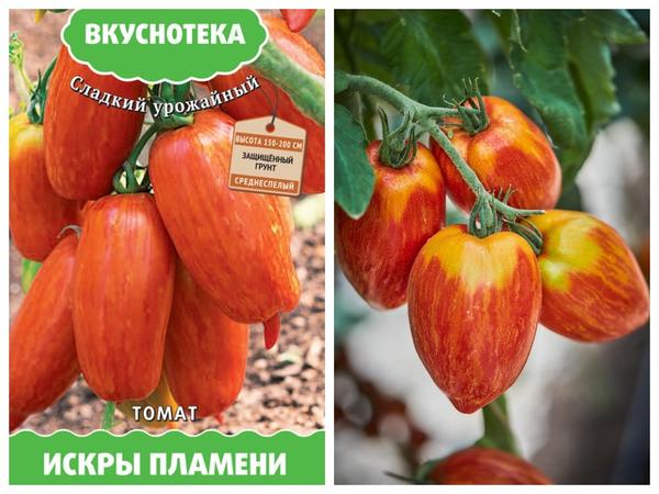 Необычные томаты: сорта с оригинальной окраской плодов, описание и фото