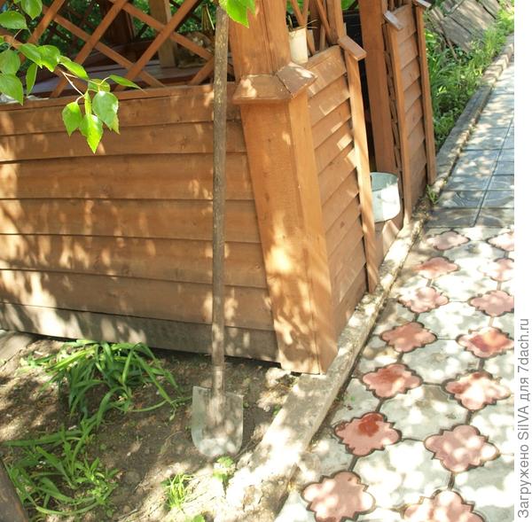 дедовская лопата на все случаи жизни