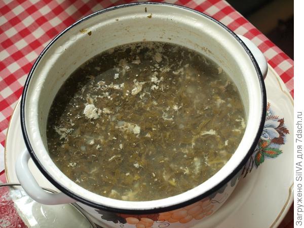 кастрюля щей из щавеля