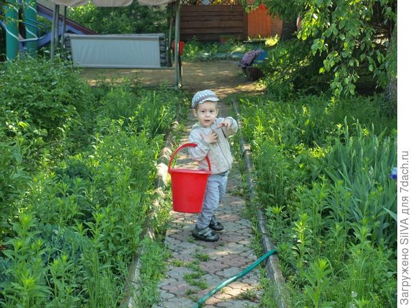 Дети в дом несут тепло, да и ночью так светло!