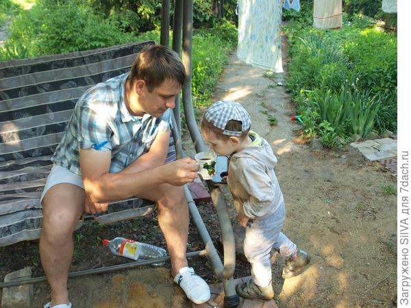 пытается попробовать папин кофе