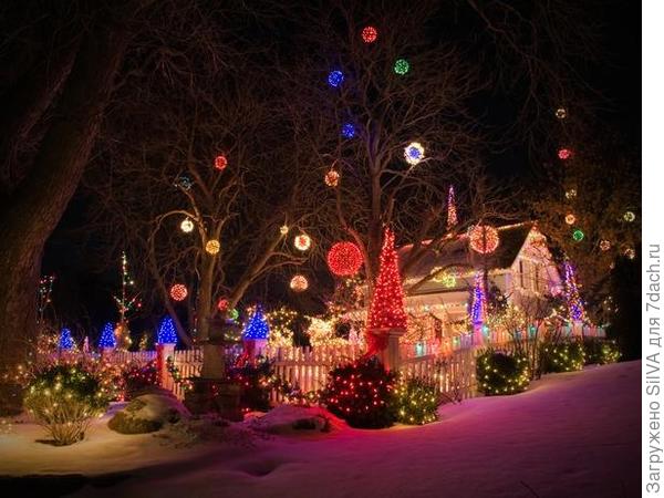 украшение деревьев оптоволокном