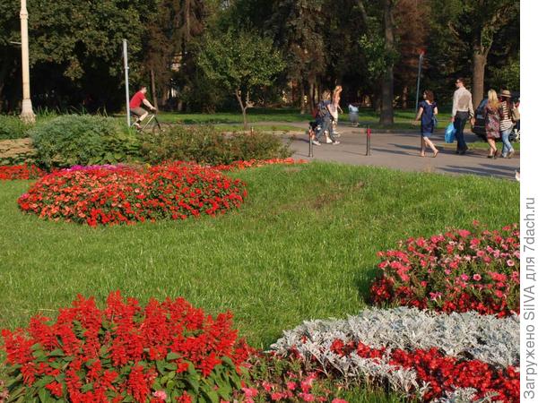 поляна