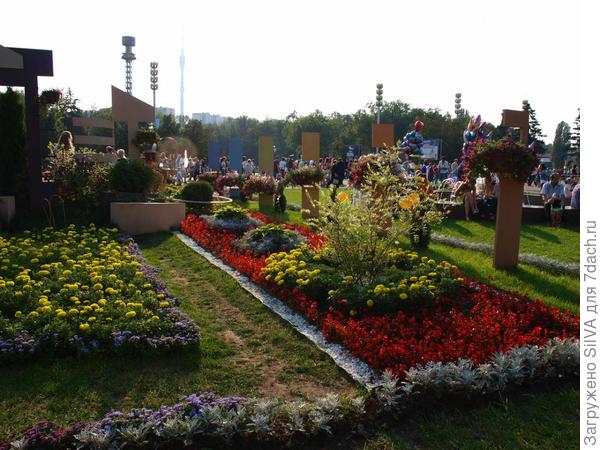 время остановилось
