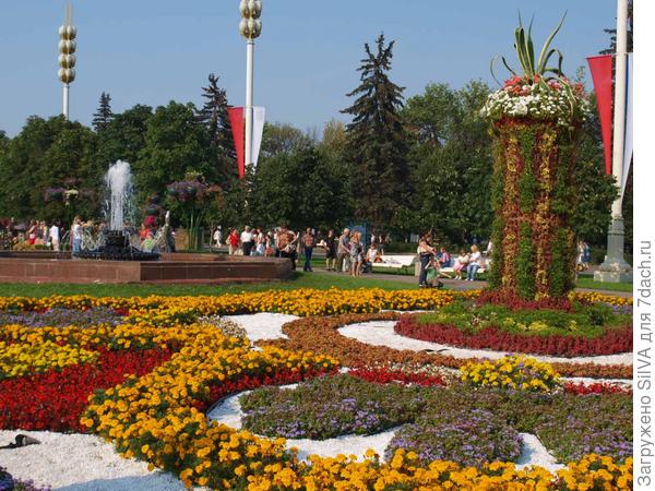 буйство цветов