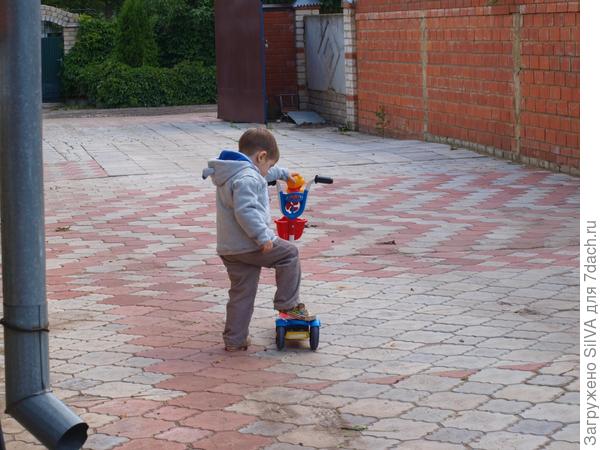 на самокате