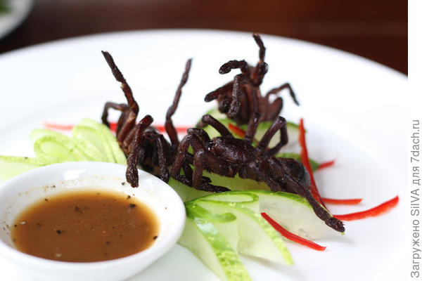 Жареные тарантулы