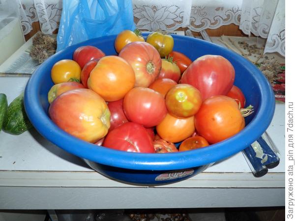 Зеленые руки