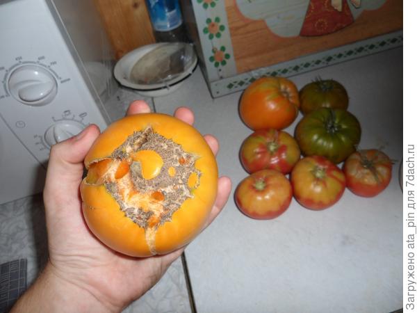 Зеленые руки