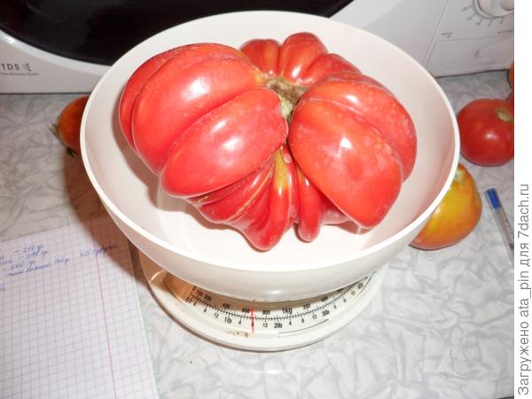 Зеленые руки