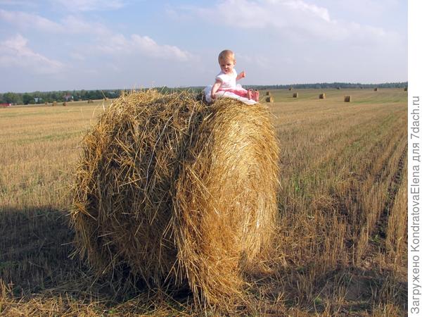 Стог сена