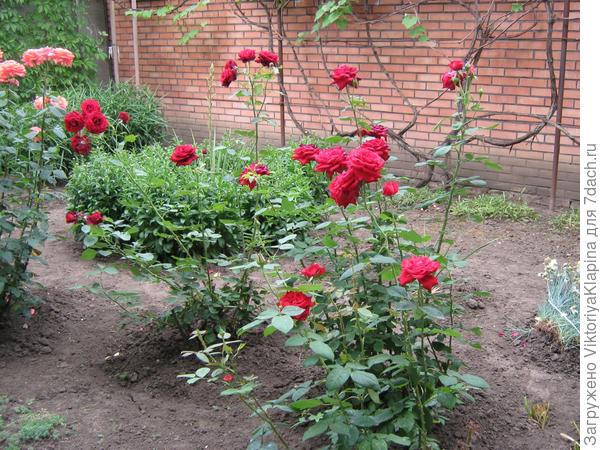 Наш один день на даче!