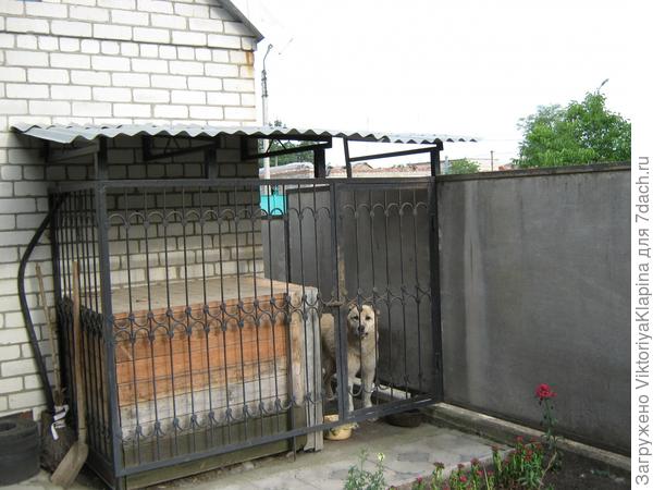 Наш один день на даче!