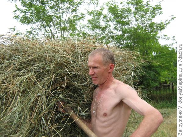 Наш один день на даче!