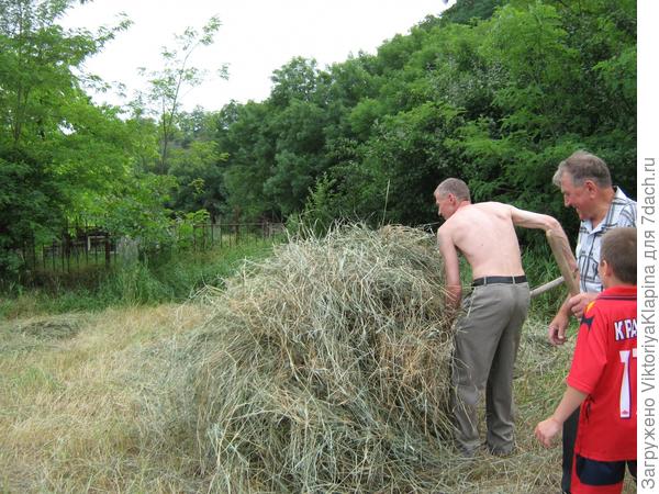 Наш один день на даче!