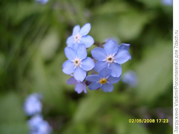 фото 2