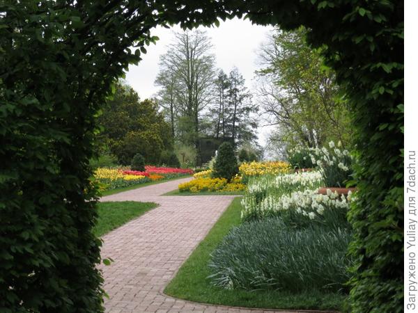 Сады Дюпона. 2 часть