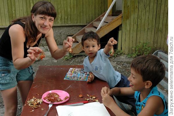 Дача у моря!