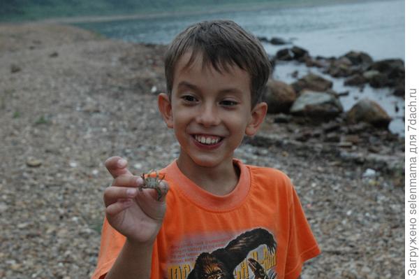 Дача у моря!