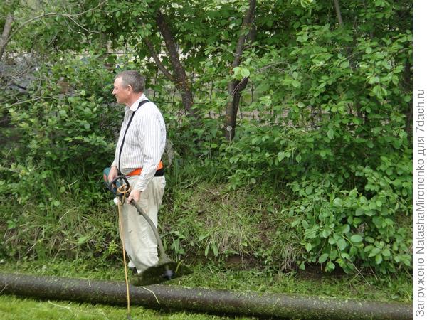 Зеленый газончик.