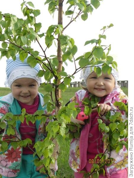 Пионы рядом,а бабочки в животе)))) а теперь уже эти бабочки превратились в красивых девочек))