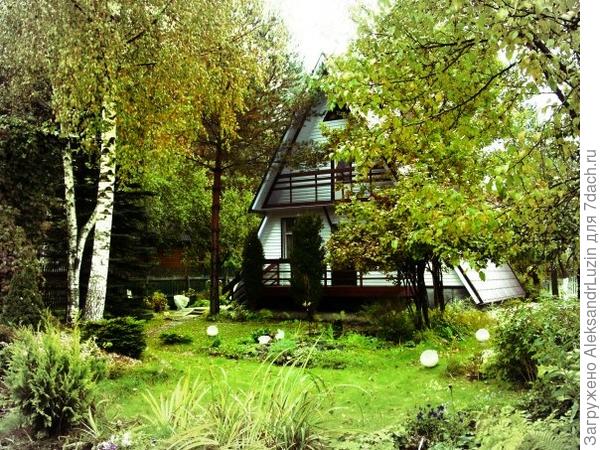 Моя любимая дача!