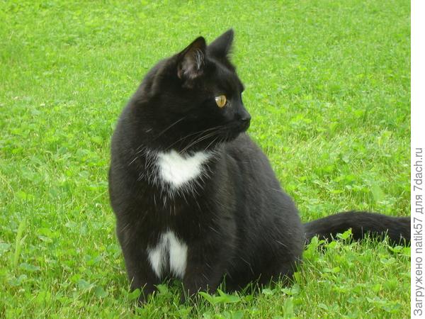 Какая удача - имеется дача!