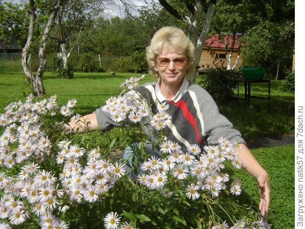 Какая удача - имеется дача!