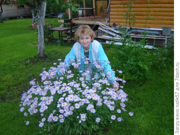 Какая удача - имеется дача!