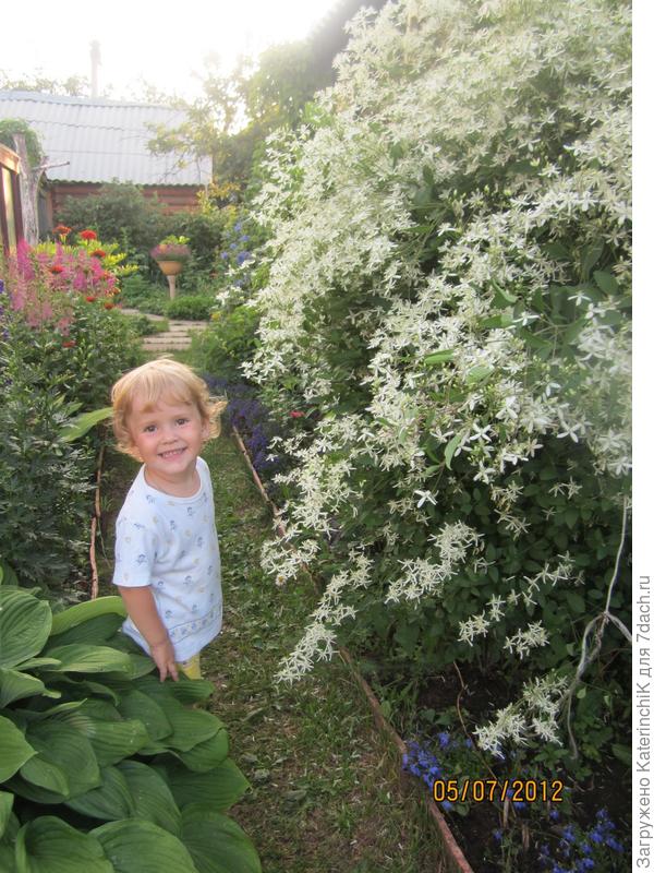 Обожаем огород! Там кругом везде народ!!! Море солнца и цветов!!! Ездить я туда всегда готов!!!