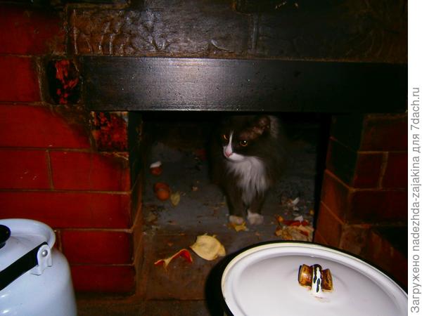 И коту Степану всегда интересно что приготовила на сегодня наша мама!!!