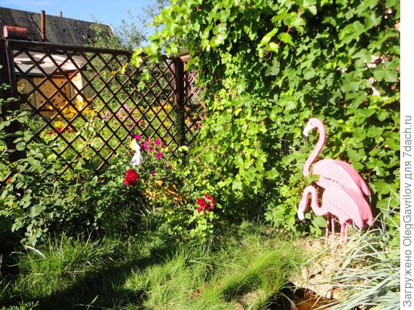 Вот такая дача!!!!!!