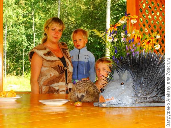 Наша дача