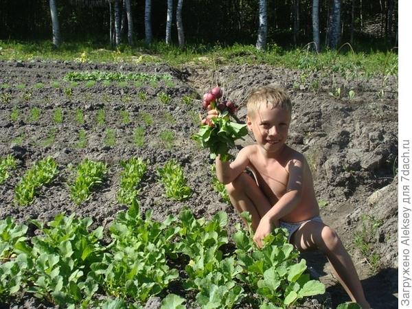 Наша дача