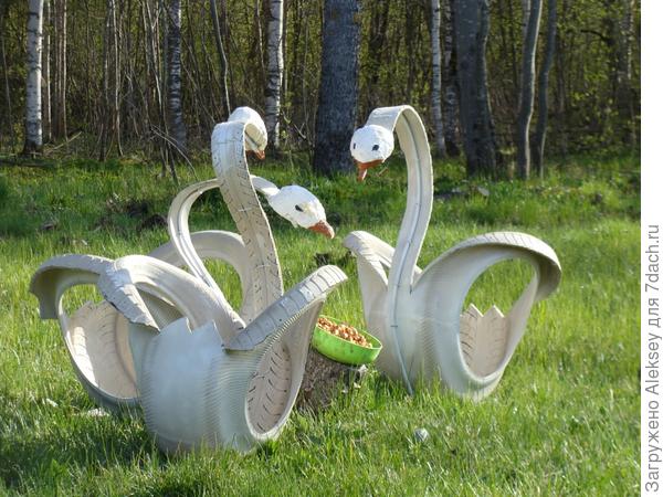 Черепаха