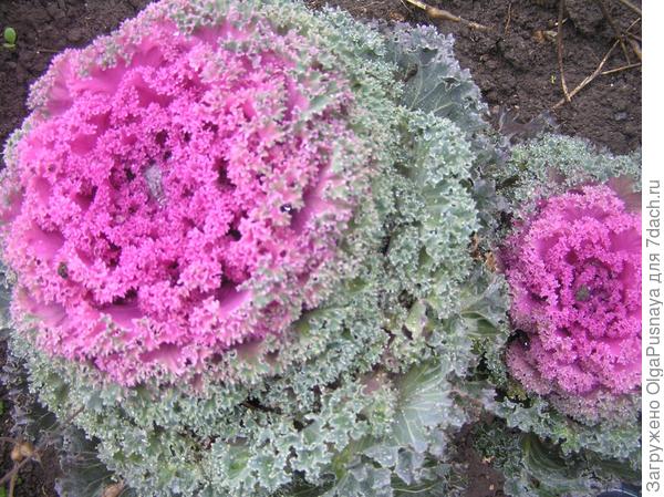 Счастливый семейный отдых