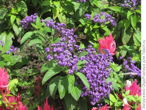 Счастливый семейный отдых