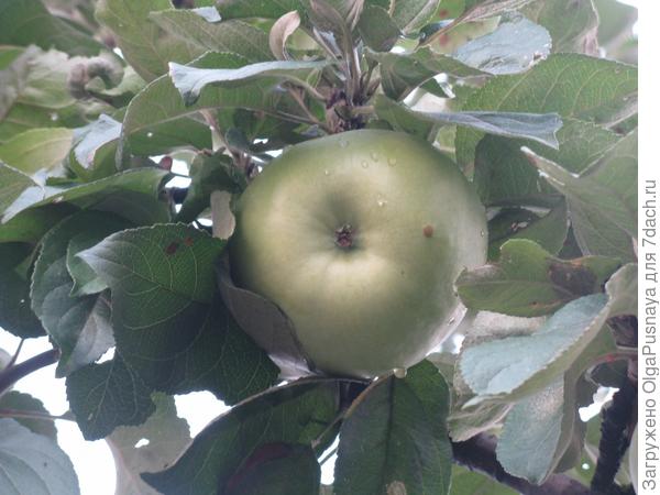 Счастливый семейный отдых