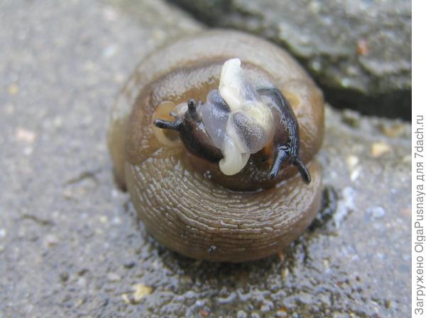 Счастливый семейный отдых