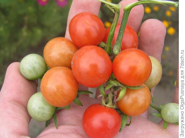 Счастливый семейный отдых