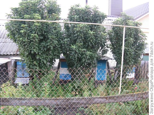 Счастливый семейный отдых